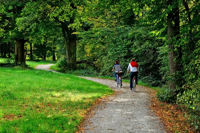 Two cyclists on a woodland path